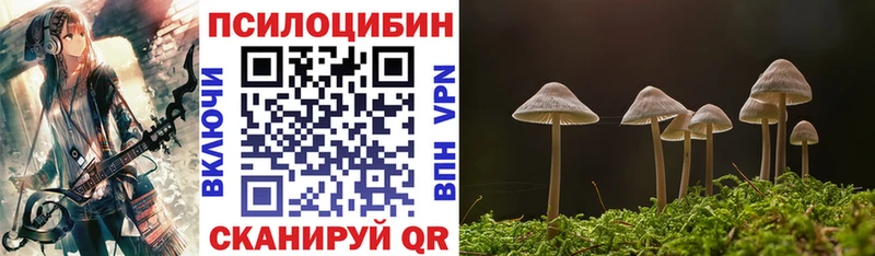 Псилоцибиновые грибы мицелий  купить наркотики сайты  Братск 