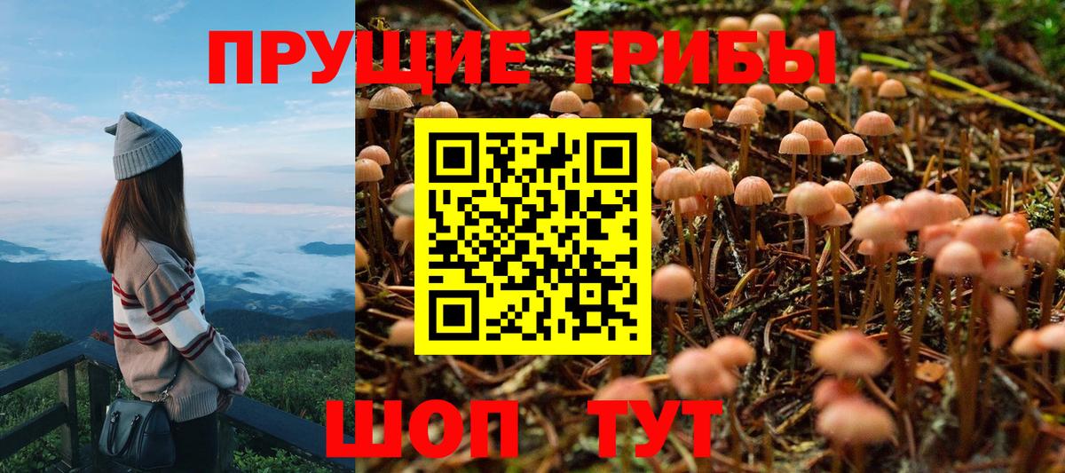 Братск  Галлюциногенные грибы MAGIC MUSHROOMS  Галлюциногенные грибы мухоморы  Вход с VPN 